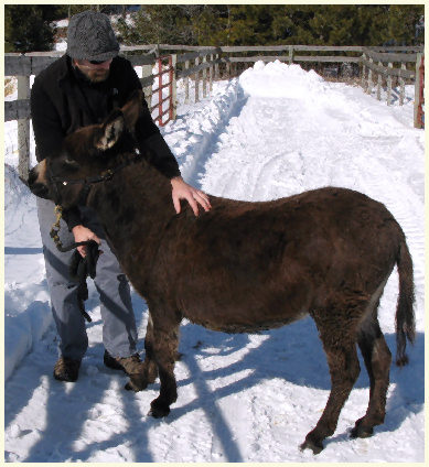 Cinder Feb2013